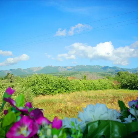 Portoni Apartament Roda (Corfu)